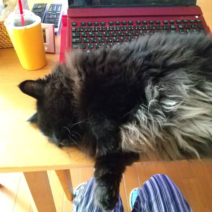 27e5bca6 1ebd 4c4b bb4b eb896537789f 1656574550510