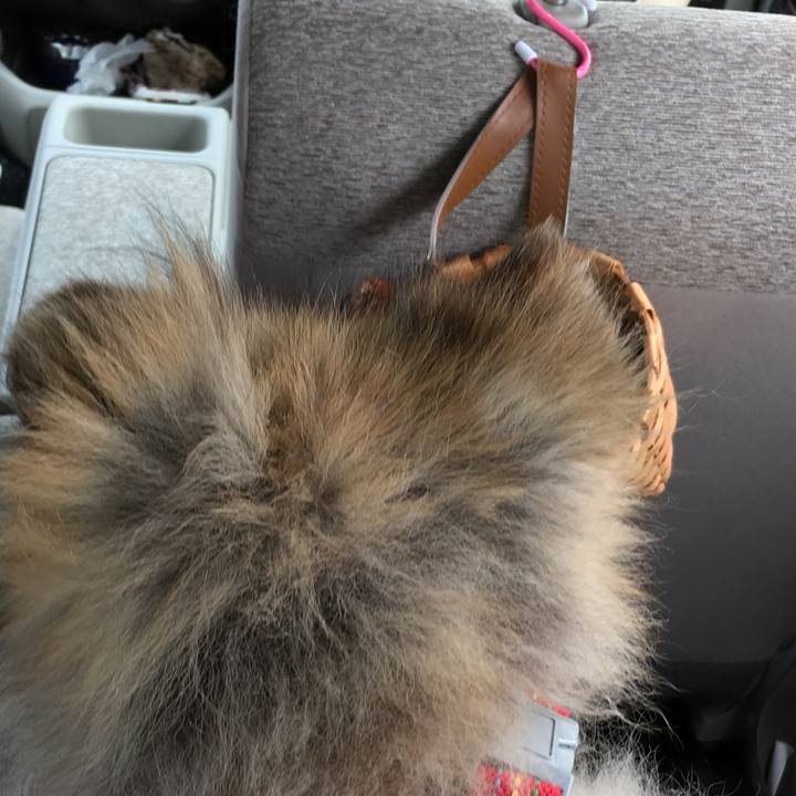 27e65c37 0bb2 4878 b8a3 2d8abe356f1e 1597920261439