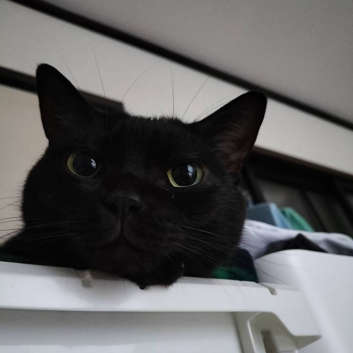 27e65f79 80ce 4ea7 9d78 2f1c61ab8015 1634855515410