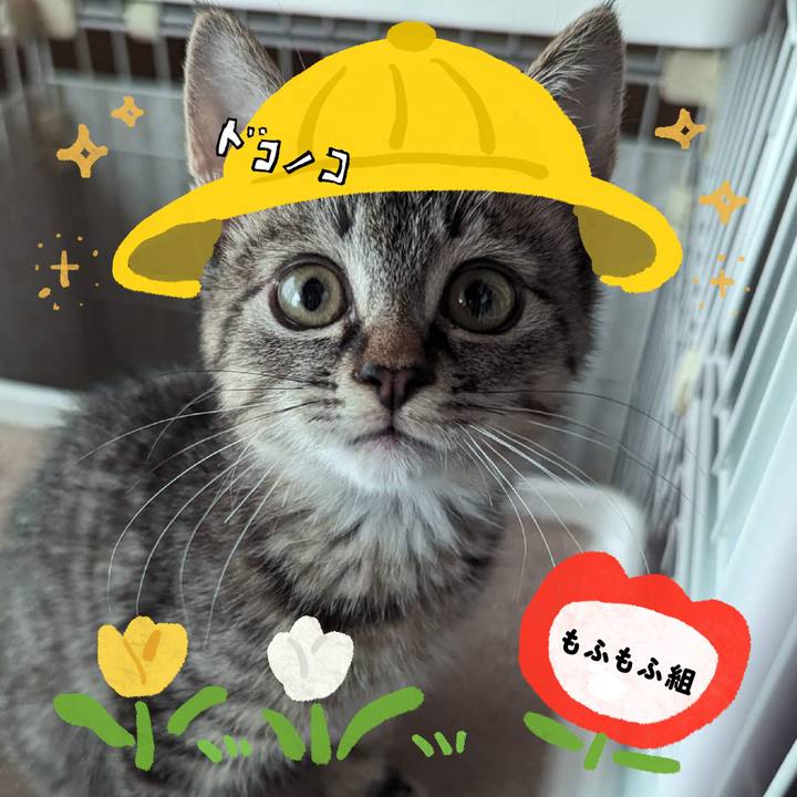 27e665ed fe7a 4278 8c56 c09863806475 1712400182849