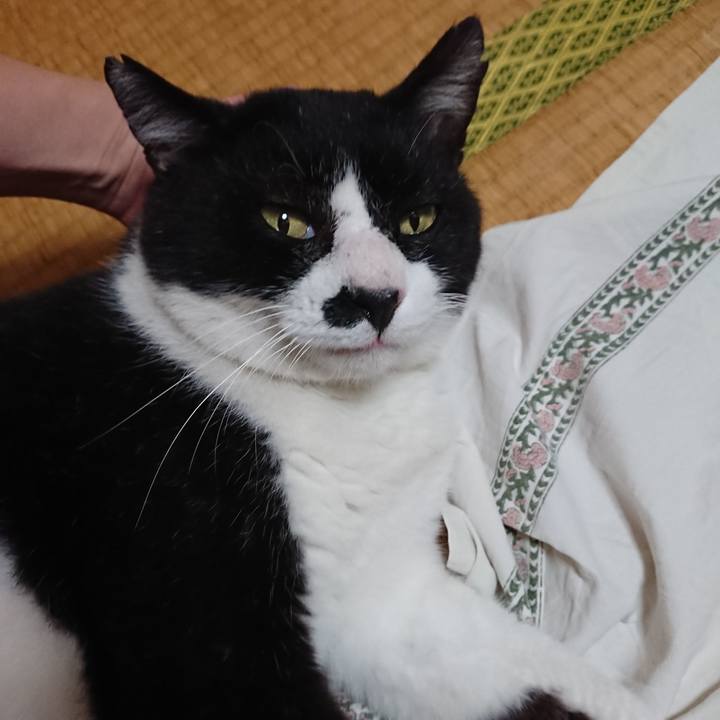 27e68e3b 6bfd 43c6 9ae9 a7bbf051e625 1530503334508