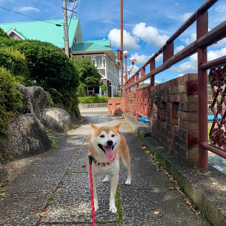 27e6e76a 5319 4f3e 966f 18ef26edb51a 1662805726277