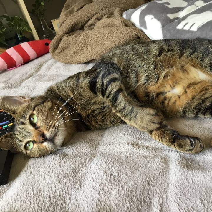 27e70200 48e8 4392 8006 b59370c4090f 1589687824471