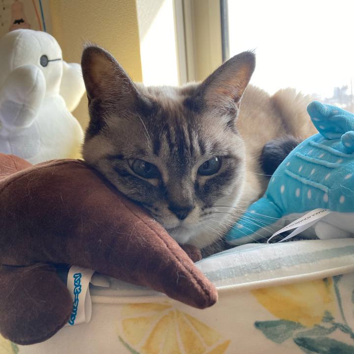 27e70d06 6e2f 4f29 85bb 78ecf70d3ed2 1774158310041