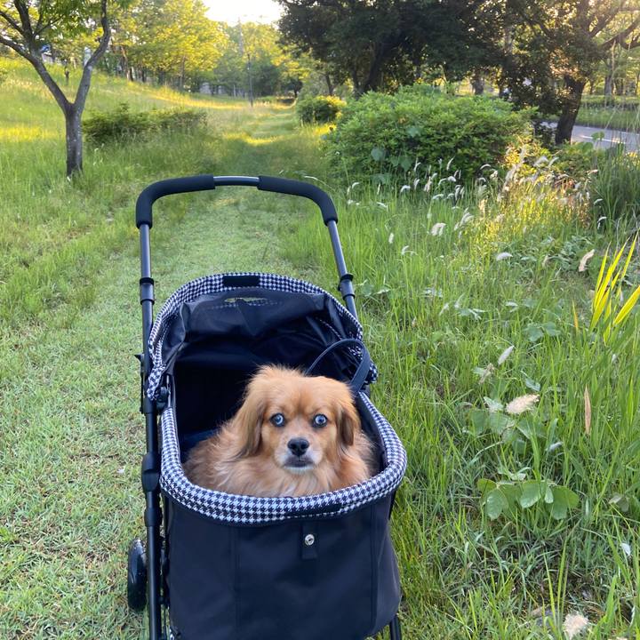 27e73179 af6a 4038 8ac1 1160154d8a02 1622410062141