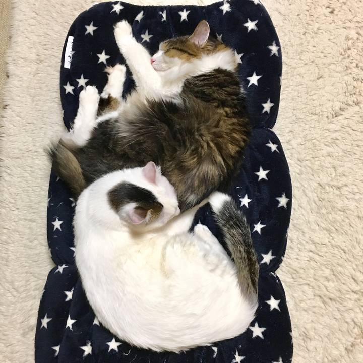 27e7c6fa b05f 4777 b7c3 339c9eb85c3f 1518317521969