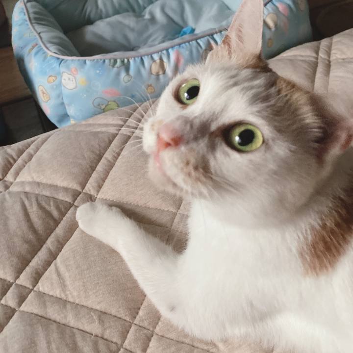 27e7ccc6 0bec 43e3 ada8 265edc9854a5 1596269400035