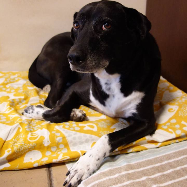 27e7cd95 22c9 44e3 a3d1 b4d4558b2a61 1728987540930