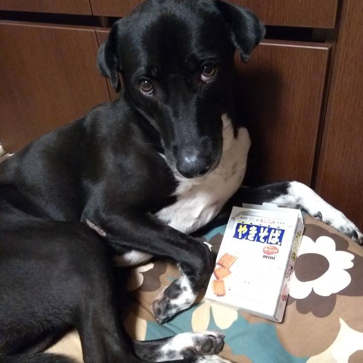 27e7de84 c538 4559 a92a 9089e0bb5e17 1601289817820