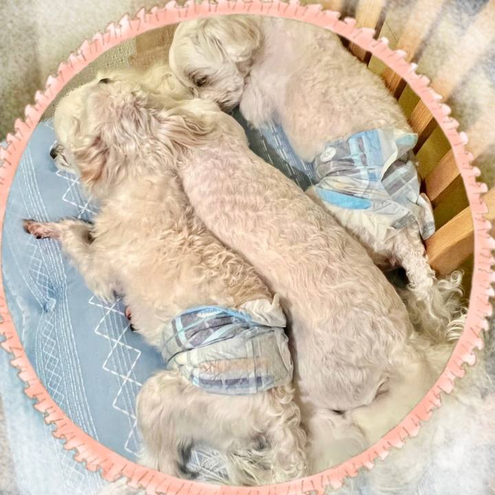 27e7e392 e84b 43fe a681 371d623594c2 1652856253632