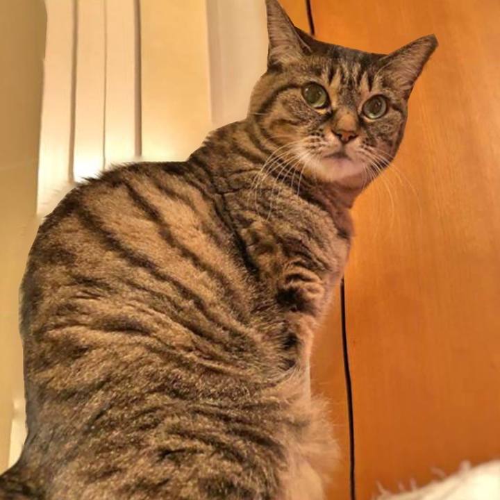 27e82d44 c5ea 45a3 babf af1851488a8a 1762814772476