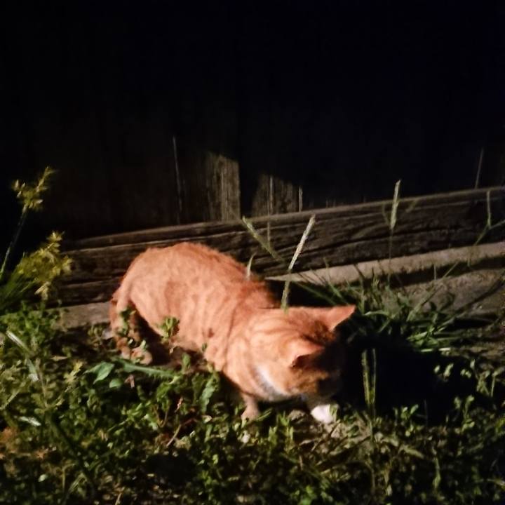 27e85ab0 9e20 4b3e 8ddc d97c11ad482c 1566906038114