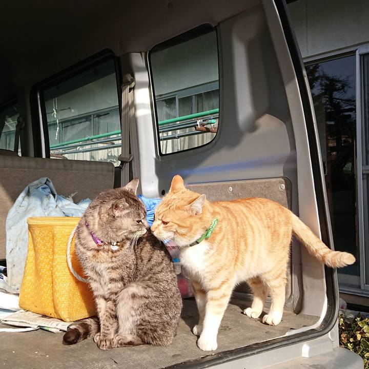 27e88c73 cceb 455e 9637 2cf7e8c827b3 1584747491398