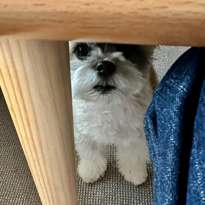 27e88e29 0df8 4def b3b8 c4399fb38d17 1644463330563