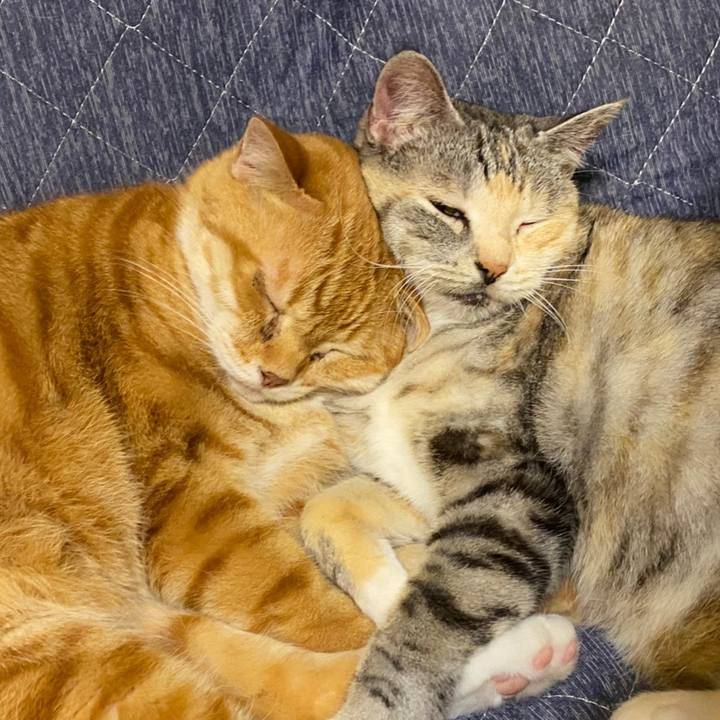 27e89570 7d8f 46f9 80ba 23d045fd8c39 1620991408601