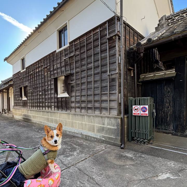 27e8cd1b 46ea 49e7 ad6a 27920437f8aa 1763960087439