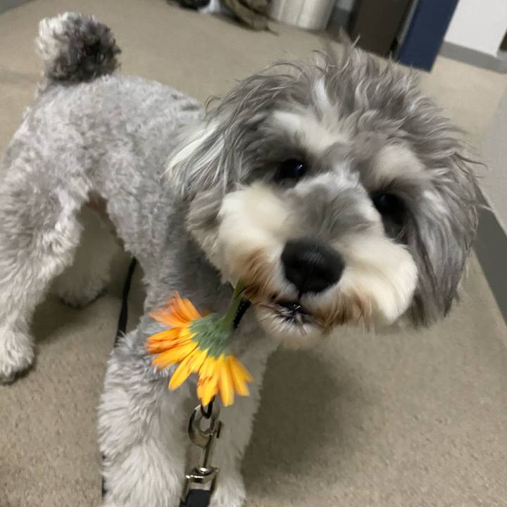 27e8fe61 8a1e 446c a770 fc1812529858 1616177345971