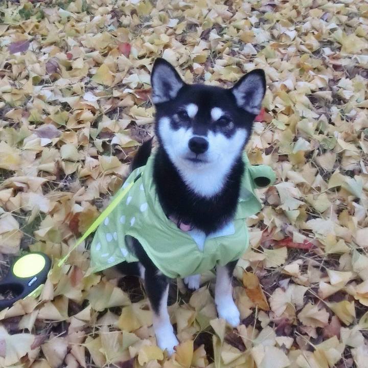 27e94ea6 85ce 4997 a58c 270ff43c8ba3 1511570415365