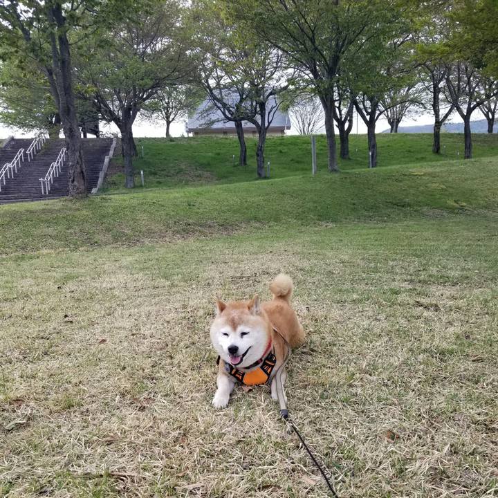 27e95f73 972e 4c59 8e77 c9ddbc6e6096 1714114961266