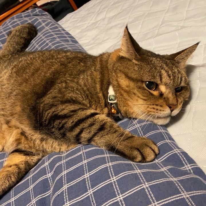 27e9702f 7691 483b 9fa4 b19b0247dcc3 1727563181885