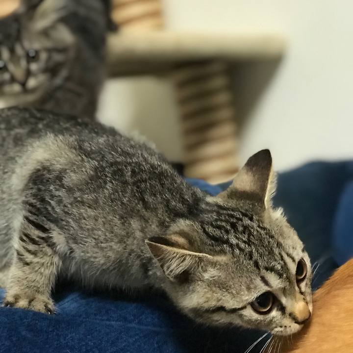 27e9738d c6ed 4105 8b39 81dcda8bd5ab 1574675631209