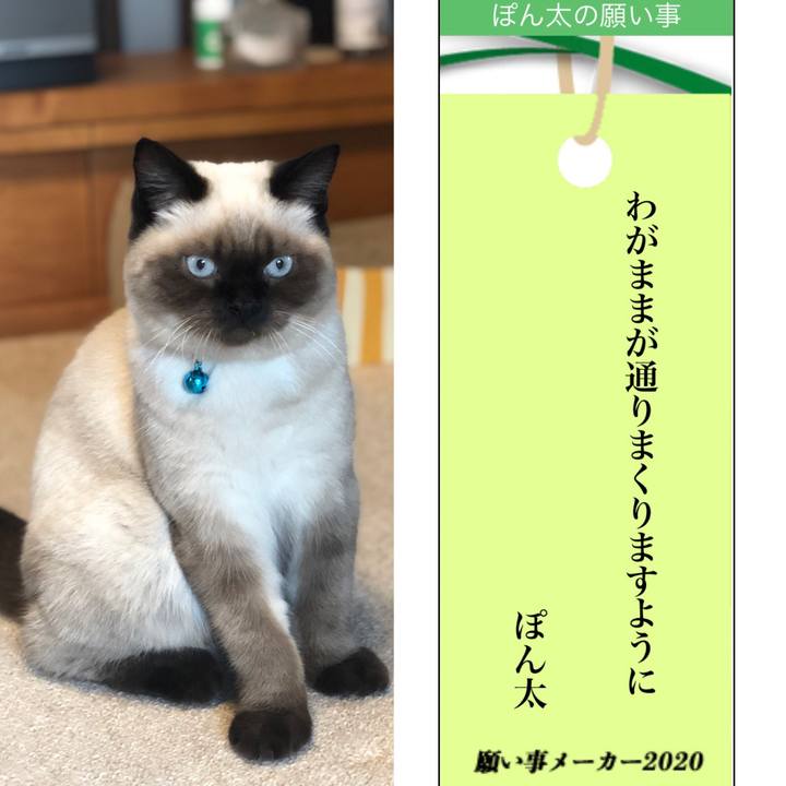 27e992e6 6bc2 4f79 92eb bd10ed0a1f59 1594091373507