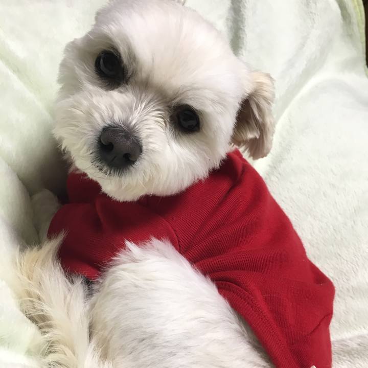 27e9d5fe d5fc 4862 90c4 a6009edaf907 1548329385060