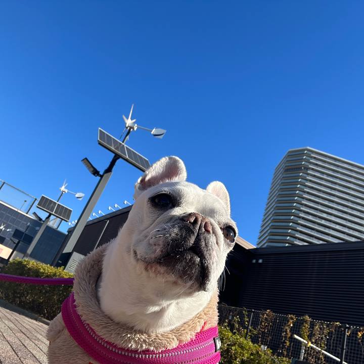 27e9f884 3c47 4c51 8ab9 36c868dbc912 1701655917139