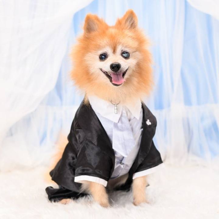 27ea1969 73e6 47ed b640 6d75375653c9 1602377863333