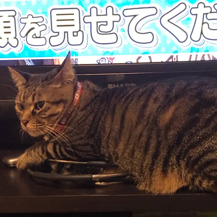 27ea23e2 3c00 4f69 b547 35aa2aa46895 1540387154336