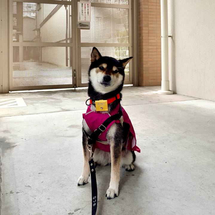 27ea34bb 6f9d 4a64 a64c e6ad8ae084ac 1772507803723