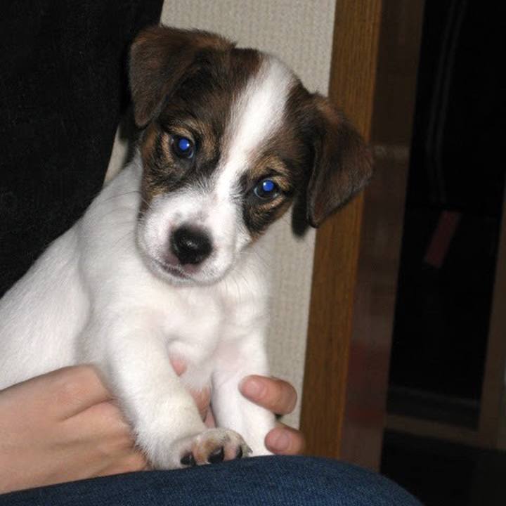 27ea415f 3a12 4852 830d 6f5478e20fab 1563964922614