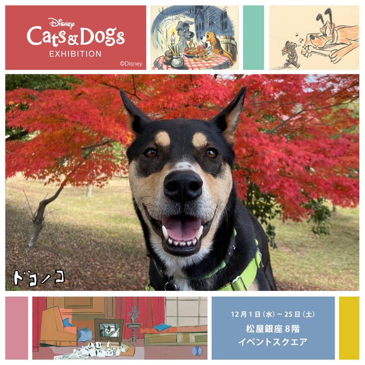 27ea599c 0051 430c b78e d5fefc3e9f83 1638576485484