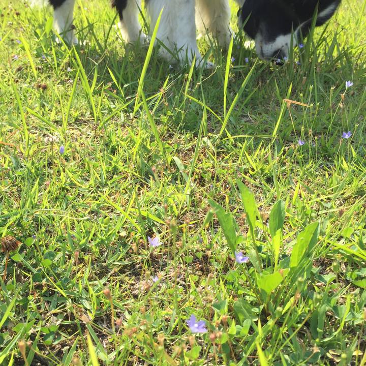 27ea85f5 8c0b 472c b80e 18cc09fb0e6b 1560757869514