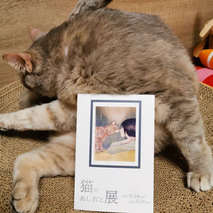 27eaa2a7 b36a 4ec9 8f30 0b378d06568c 1650723178075