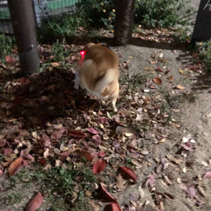 27eabe2d 8fe7 42aa 975c 0c129ad99d3c 1607350523301