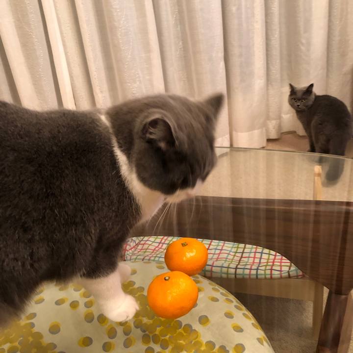 27eadbdc 7284 4f3f 8ef9 c3604572f806 1542887542371