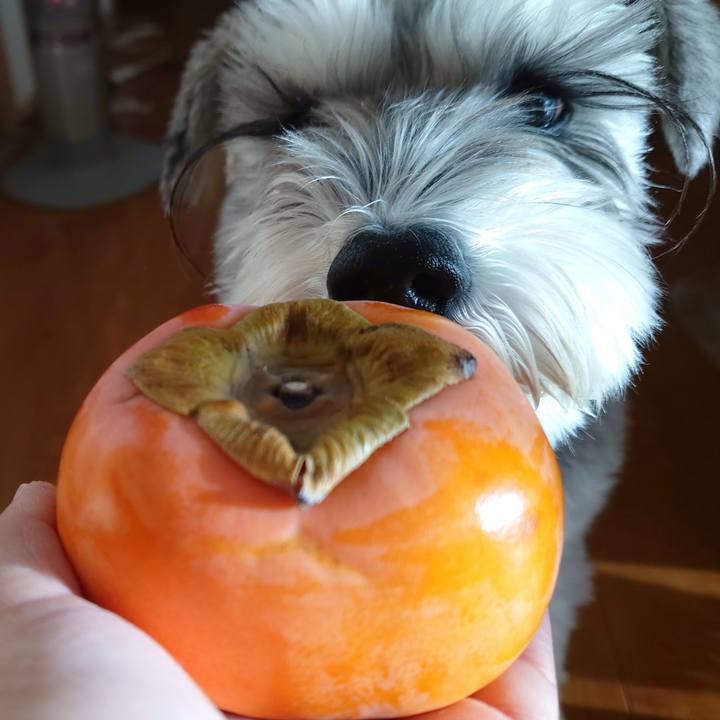 27eafea0 795e 49bb a9d1 0b07d4a238db 1764975935082