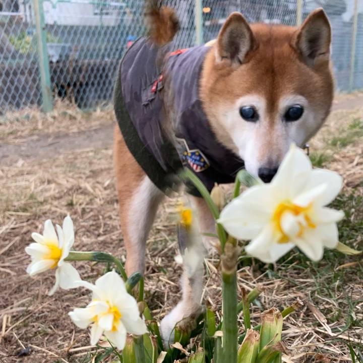 27eb0043 cc21 4887 858c 1838d4462191 1706427225828