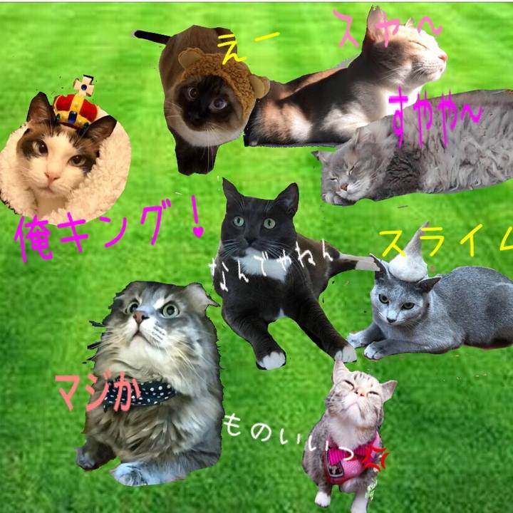 27eb02fd 7a0e 4c68 a4a6 49d78802b1dd 1526359276183