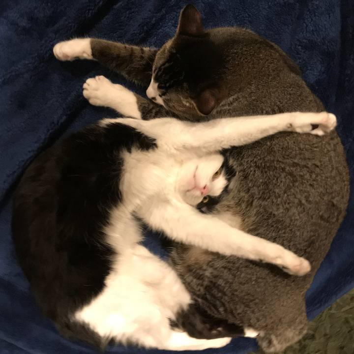 27eb1295 62c2 42a2 a5d2 16045e93b037 1517299610436