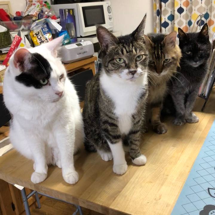 27eb3a0d b778 402f a33b f557af62c926 1628382118630