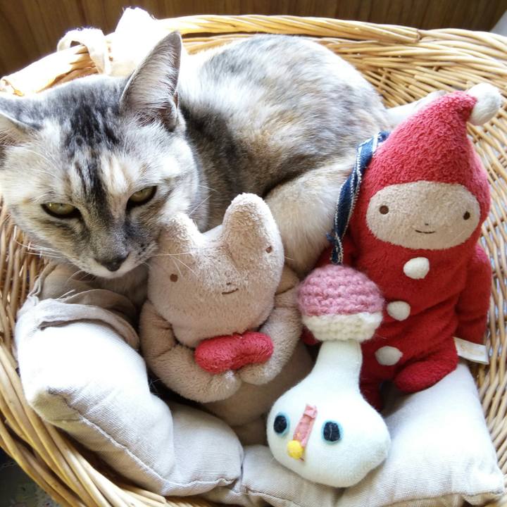 27eb3f68 f65f 47d1 9e26 8ceb48deff96 1512282347568