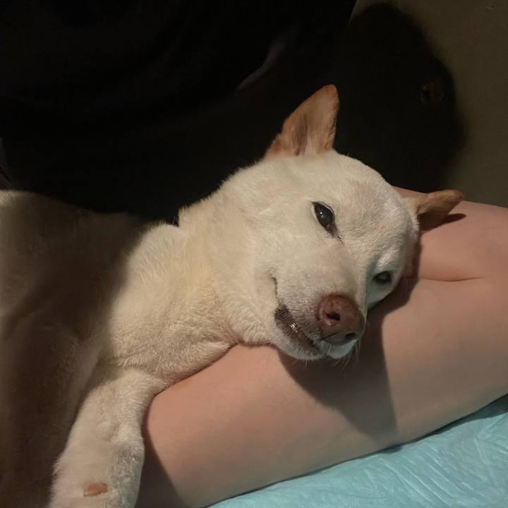 27eb3f82 553a 4735 a9a2 27ceda1f237b 1652883697317