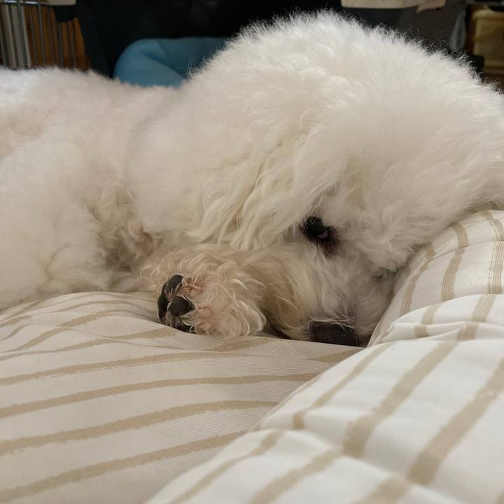 27eb44a7 492d 45e6 877a 20d77fbe52cd 1627799917201