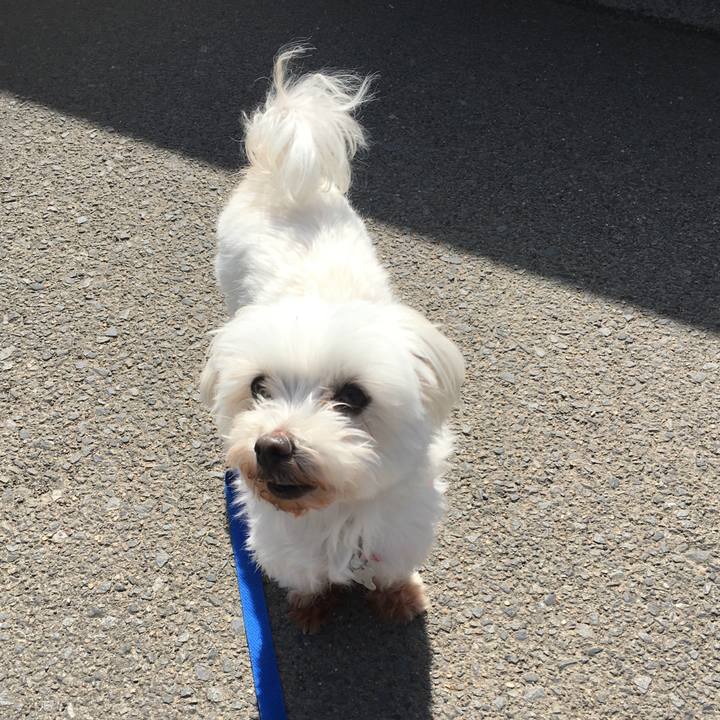 27eb9399 7a44 4cce a44f 9fcd857d2ebb 1615962567650