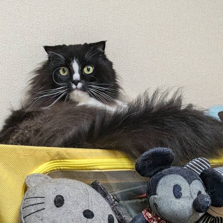 27ebaad6 6997 49ac bd76 27f974403e9c 1731844139804