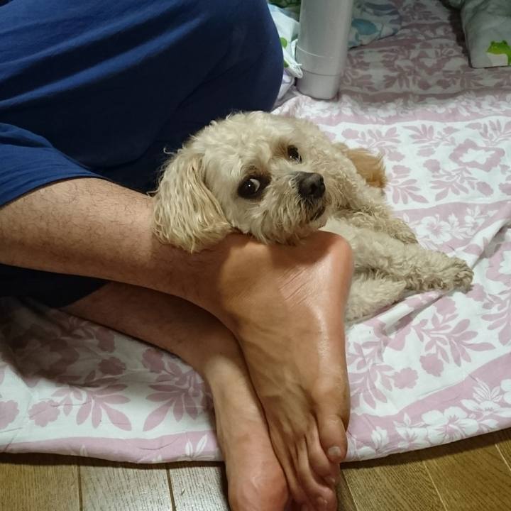 27ebc990 94a9 4aaf 94ed 7ce082d9cc70 1591960025903