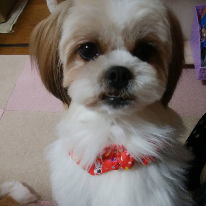 27ebdd18 0260 491a 8965 32f2d1000700 1547019936751