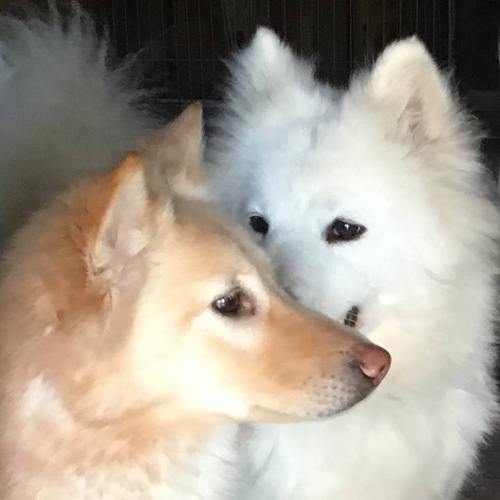 27ec16ea d847 4626 a1de 0f99f9e02118 1549646504495